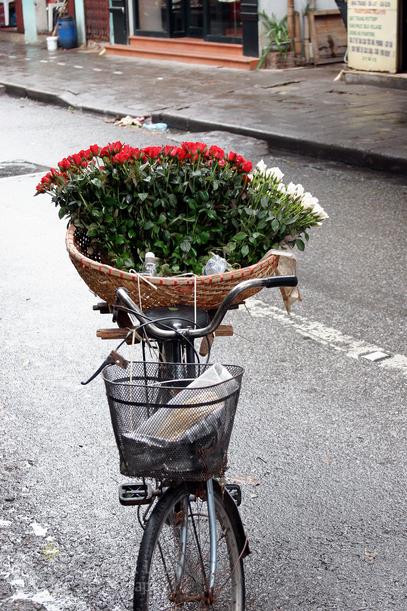 Stew and Tinas Honeymoon D1 Sept Oct 2006  MG 0243